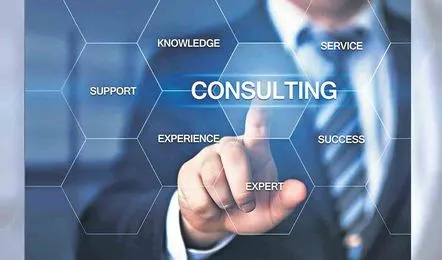 Consultancy Services
